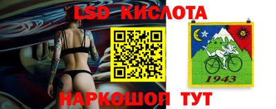 прущие грибы Кимры