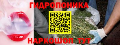прущие грибы Кимры