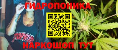 бутират Кингисепп