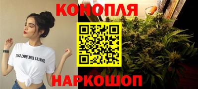 прущие грибы Кимры