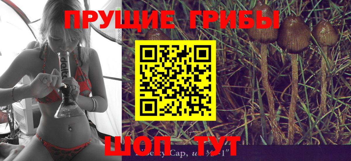 Галлюциногенные грибы прущие грибы Кулебаки