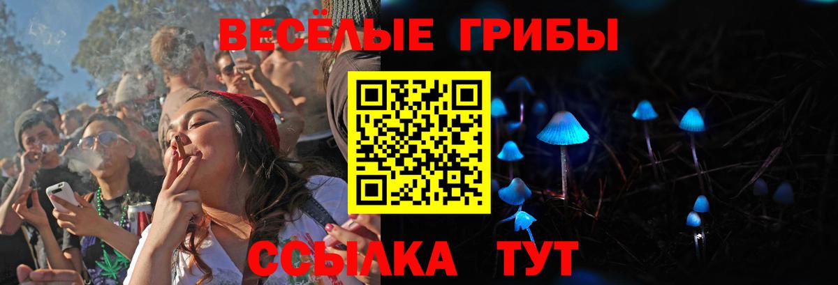 Кулебаки  Галлюциногенные грибы MAGIC MUSHROOMS  Вход с VPN 